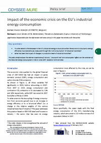 Impact of the economic crisis on the EU’s industrial energy consumption