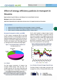 Effect of energy efficiency policies in transport ‎in Slovenia