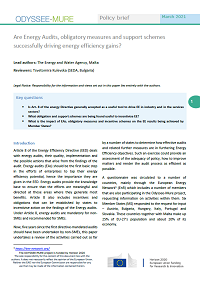 Are Energy Audits, obligatory measures and support schemes successfully driving energy efficiency gains?