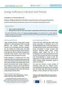 Energy Sufficiency Indicators and Policies