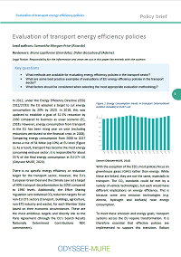 Evaluation of transport energy efficiency policies