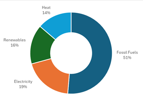 Share of energy consumed for domestic water heating in Europe by energy source