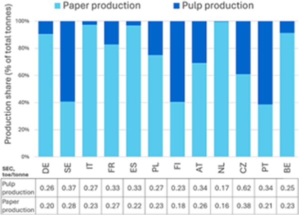 Pulp and paper production structure