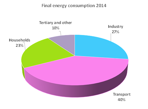 Structure of final energy in Slovenia 2014