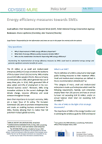 Energy efficiency measures towards SMEs