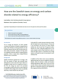 How are the Swedish taxes on energy and carbon dioxide related to energy efficiency?